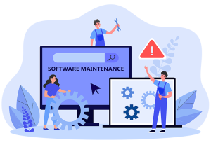 Software maintenance & Support